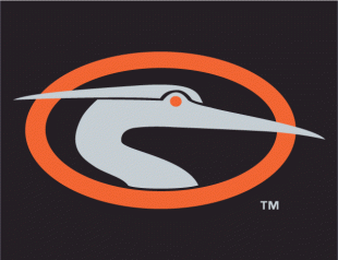 Delmarva Shorebirds 2010-Pres Cap Logo 3 decal sticker