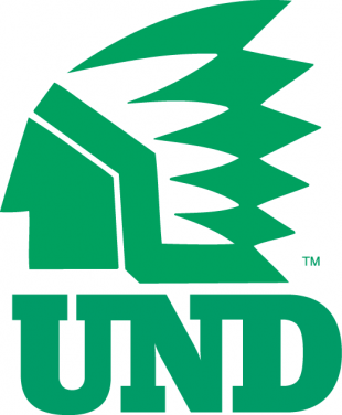 North Dakota Fighting Hawks 1976-1999 Alternate Logo 02 decal sticker
