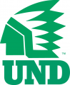 North Dakota Fighting Hawks 1976-1999 Alternate Logo 02 Sticker Heat Transfer