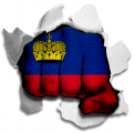 Fist Liechtenstein Flag Logo decal sticker