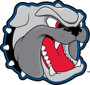 North CarolinaAsheville Bulldogs 1998-Pres Secondary Logo decal sticker