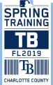 Tampa Bay Rays 2019 Event Logo Sticker Heat Transfer