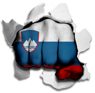 Fist Slovenia Flag Logo Sticker Heat Transfer