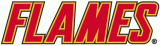 Calgary Flames 1994 95-2001 02 Wordmark Logo decal sticker