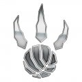 Toronto Raptors Silver Logo decal sticker