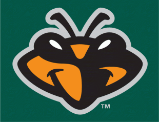 Augusta Greenjackets 2006-2017 Cap Logo decal sticker