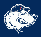 Pawtucket Red Sox 1999-2014 Cap Logo 3 decal sticker