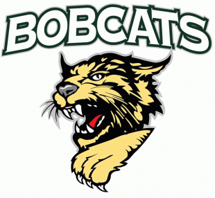 Bismarck Bobcats 2003 04 Primary Logo Sticker Heat Transfer