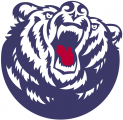 Belmont Bruins 2003-Pres Secondary Logo decal sticker