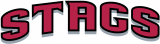 Fairfield Stags 2002-Pres Wordmark Logo 08 decal sticker