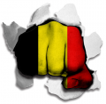 Fist Belgium Flag Logo decal sticker