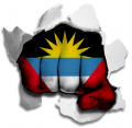 Fist Antigua And Barbuda Flag Logo Sticker Heat Transfer