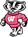 Wisconsin Badgers 2002-Pres Secondary Logo 01 Sticker Heat Transfer