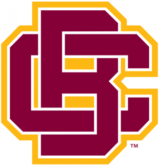 Bethune-Cookman Wildcats 2016-Pres Primary Logo Sticker Heat Transfer