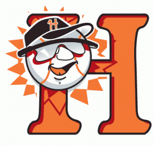 Hagerstown Suns 1993-2012 Cap Logo Sticker Heat Transfer