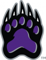 Central Arkansas Bears 2009-Pres Alternate Logo 05 decal sticker