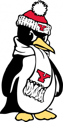 Youngstown State Penguins 1993-Pres Alternate Logo 03 Sticker Heat Transfer