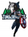 Minnesota Timberwolves Captain America Logo Sticker Heat Transfer