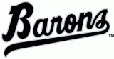 Birmingham Barons 1993-2007 Wordmark Logo decal sticker