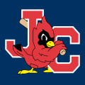 Johnson City Cardinals 1995-Pres Cap Logo Sticker Heat Transfer