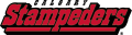 Calgary Stampeders 2000-2011 Wordmark Logo Sticker Heat Transfer