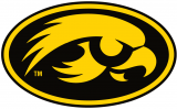 Iowa Hawkeyes 1999-Pres Alternate Logo decal sticker