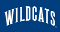 Villanova Wildcats 1996-Pres Wordmark Logo Sticker Heat Transfer