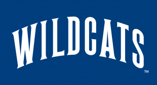 Villanova Wildcats 1996-Pres Wordmark Logo decal sticker