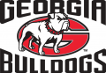 Georgia Bulldogs 1996-2000 Alternate Logo Sticker Heat Transfer