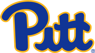 Pittsburgh Panthers 2019-Pres Primary Logo Sticker Heat Transfer