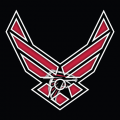 Airforce Atlanta Falcons Logo decal sticker