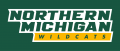 Northern Michigan Wildcats 2016-Pres Wordmark Logo decal sticker