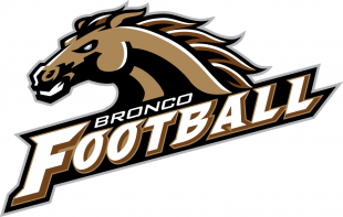 Western Michigan Broncos 1998-2015 Alternate Logo 01 decal sticker