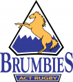 Brumbies 1996-2004 Primary Logo decal sticker