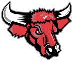 Nebraska-Omaha Mavericks 1997-2003 Secondary Logo decal sticker