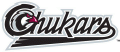Idaho Falls Chukars 2004-Pres Wordmark Logo decal sticker