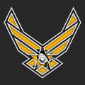 Airforce Pittsburgh Penguins logo Sticker Heat Transfer