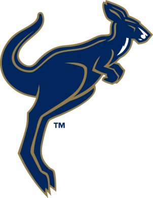 Akron Zips 2002-2007 Alternate Logo decal sticker