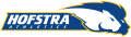 Hofstra Pride 2005-Pres Alternate Logo decal sticker