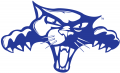 High Point Panthers 2004-Pres Alternate Logo 04 Sticker Heat Transfer