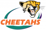 Central Cheetahs 2005-Pres Primary Logo decal sticker