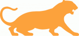 Princeton Tigers 1984-Pres Alternate Logo Sticker Heat Transfer