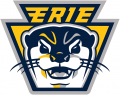 Erie Otters 2019 20-Pres Alternate Logo decal sticker