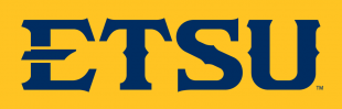 ETSU Buccaneers 2014-Pres Wordmark Logo 08 decal sticker