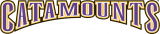 Western Carolina Catamounts 1996-2007 Wordmark Logo 03 decal sticker