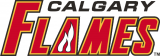 Calgary Flames 2002 03-Pres Wordmark Logo decal sticker