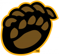 Baylor Bears 2005-2018 Alternate Logo 02 Sticker Heat Transfer