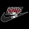 Arizona Diamondbacks Nike logo Sticker Heat Transfer