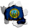 Fist Idaho State Flag Logo decal sticker