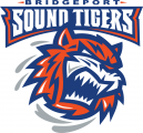 Bridgeport Sound Tigers 2010-Pres Primary Logo Sticker Heat Transfer